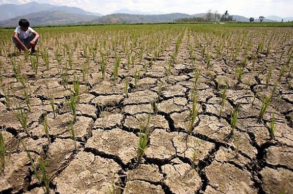 Cabinet Approves Six-Pillar Drought Plan Amid Super El Niño Forecast