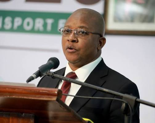 Zimbabwe to End Raw Mineral Exports as Beneficiation Drive Gathers Pace