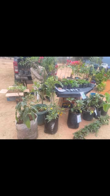 Deputy Minister, Hon Fred Moyo Urges Farmers to Prepare Early for Predicted El Niño Season