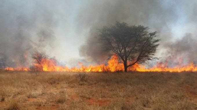 EMA Urges Public to Prevent Veld Fires as fire season continues